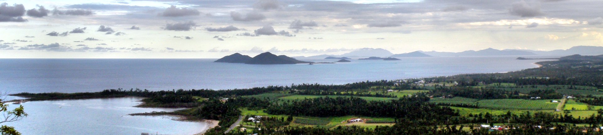 Mission Beach Foliage